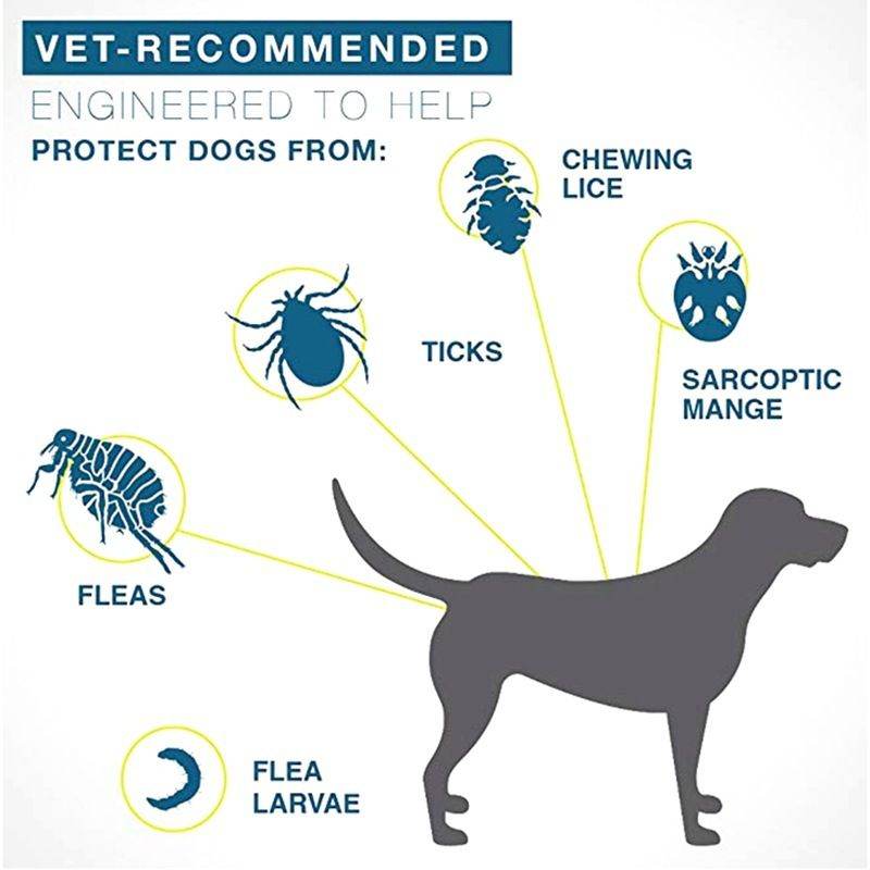 Vet-recommended flea and tick collar for pets protects dogs from fleas, ticks, lice, mange, and flea larvae