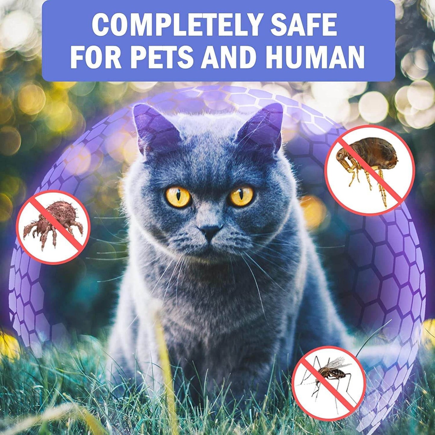 Purrfect Pet Kingdom flea and tick collar for pets shown safe for cats and humans protecting against fleas ticks and mosquitoes