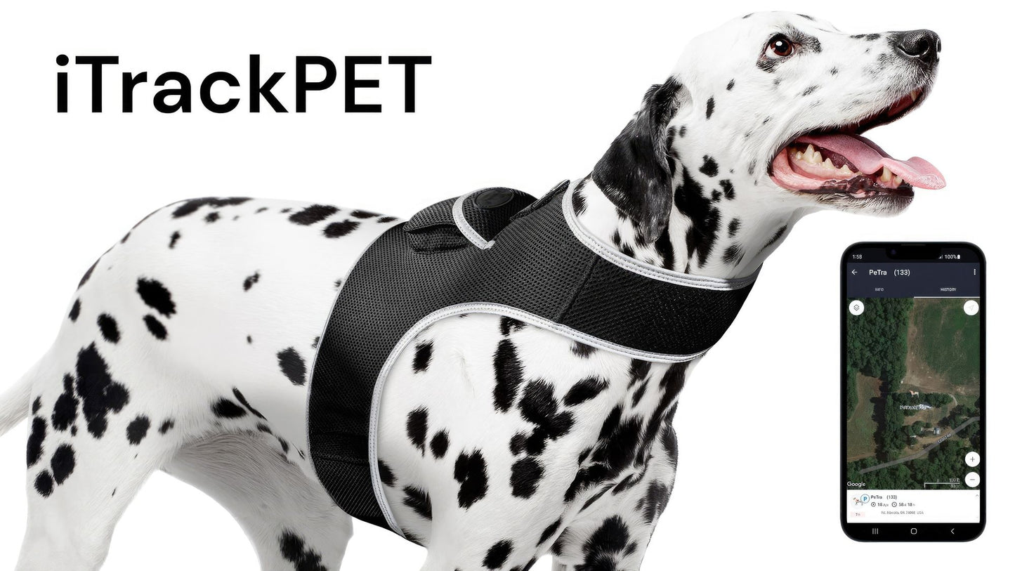 Purrfect Pet Kingdom Pet GPS Collar for Dogs and Cats Purrfect Pet Kingdom