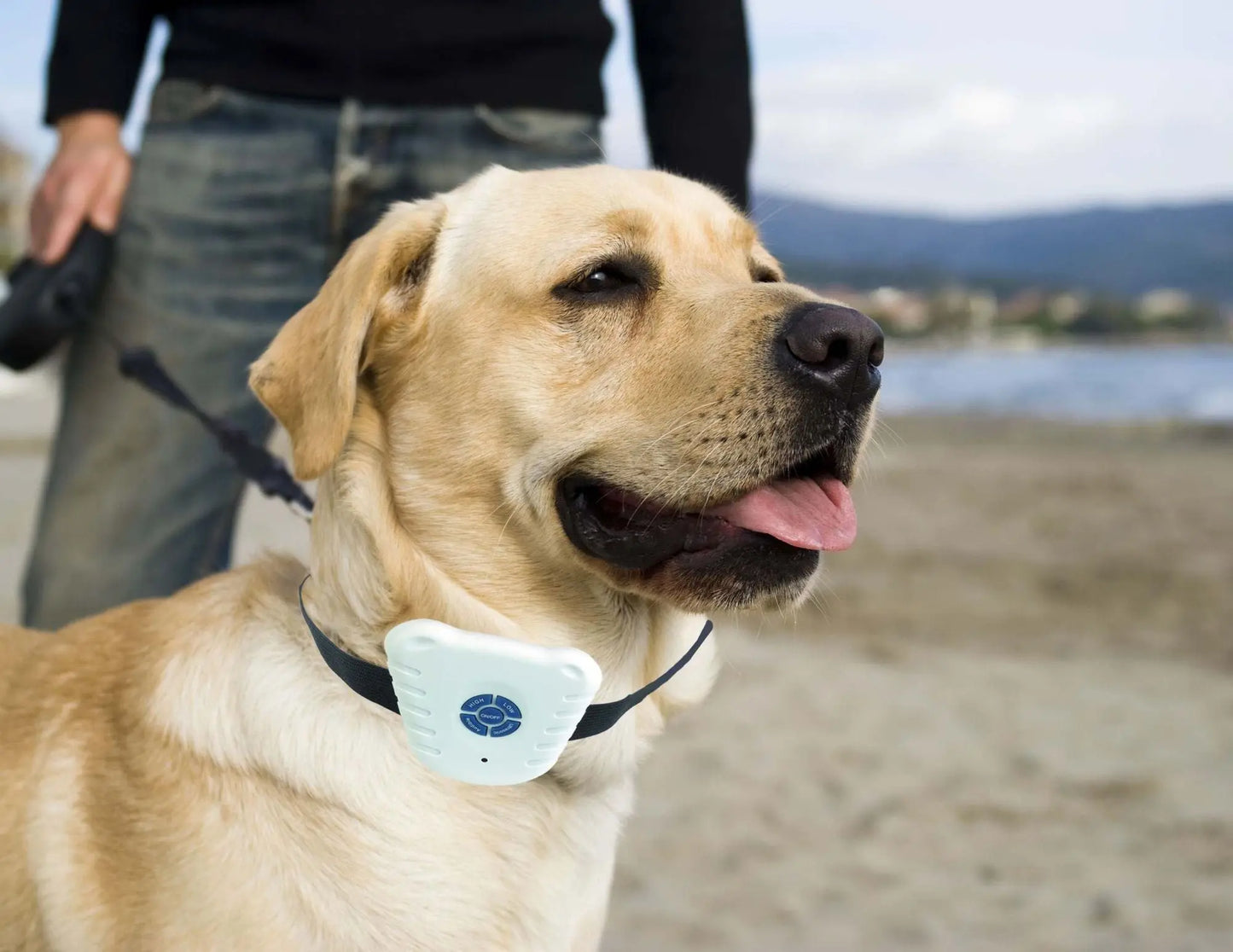 Purrfect Pet Kingdom Pet Life Anti-Bark Dog Collar Purrfect Pet Kingdom