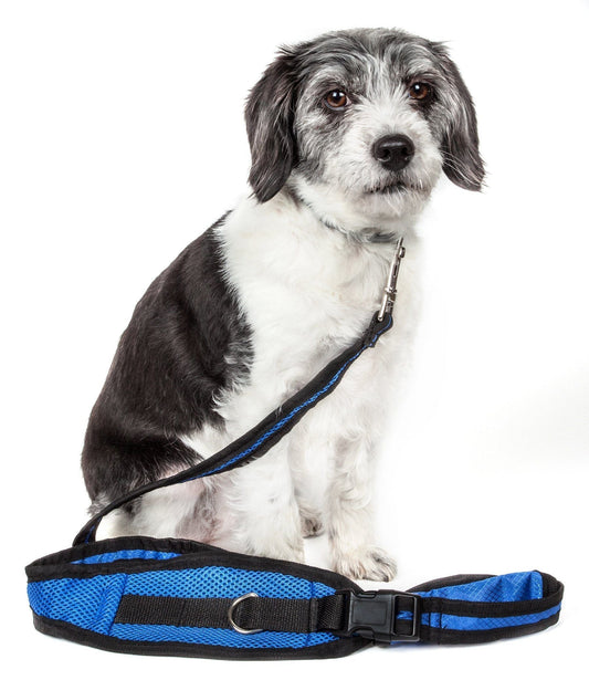 Pet Life 'Echelon' Hands Free And Convertible 2-In-1 Training Pet Dog Leash And Pet Belt Trainer