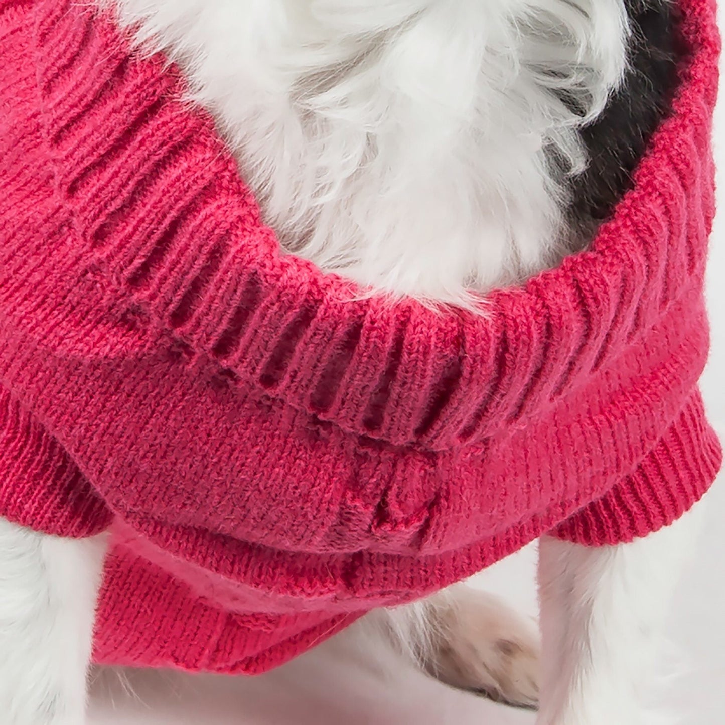 Heavy Cotton Rib Collared Dog Sweater