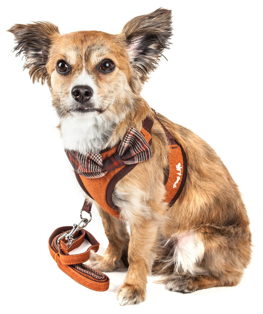 Pet Life ® Luxe 'Pawsh' 2-In-1 Adjustable Fashion Dog Harness and Leash