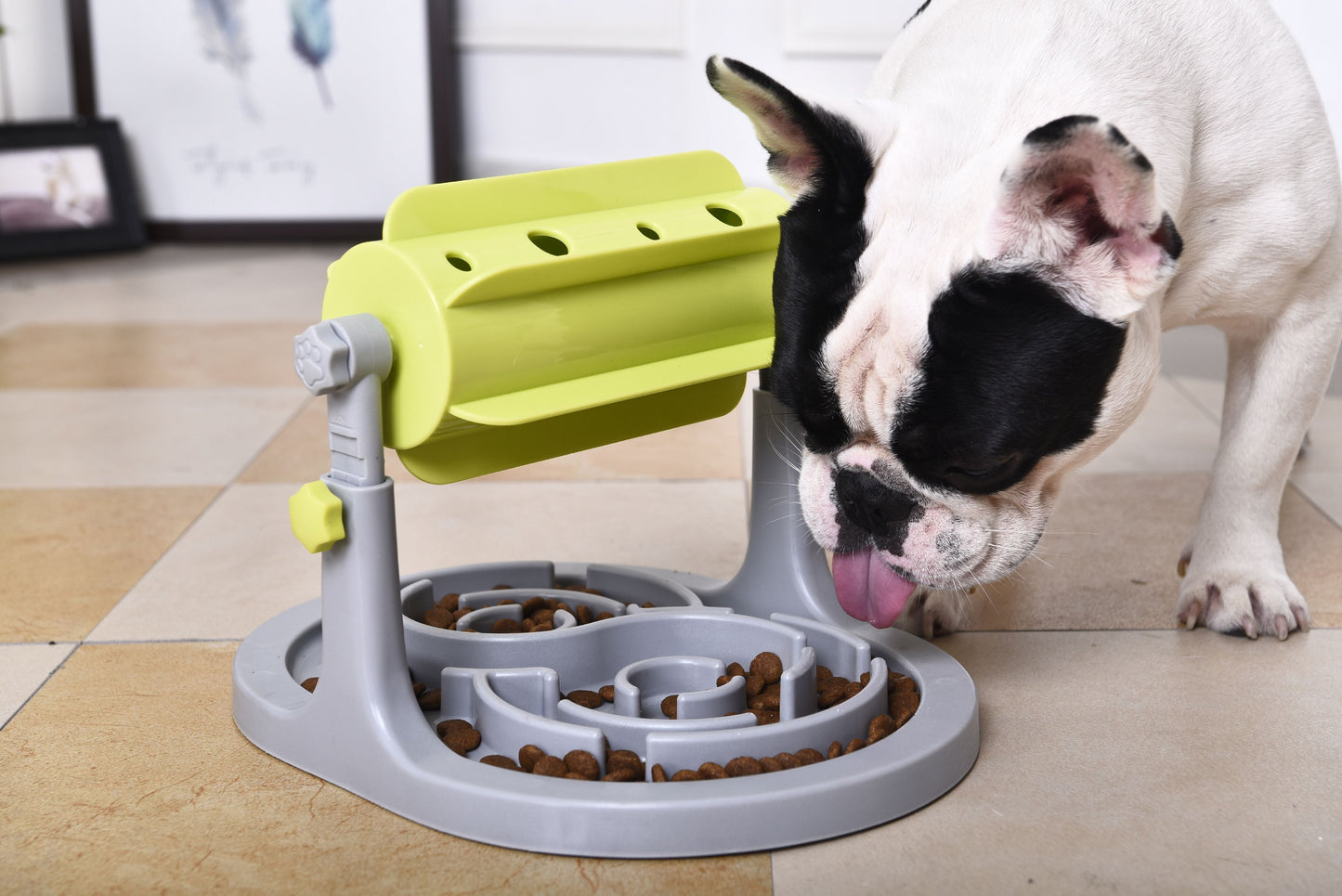 Dog Treat Toy - Roto Paw IQ Training Rotating Slow Feeder