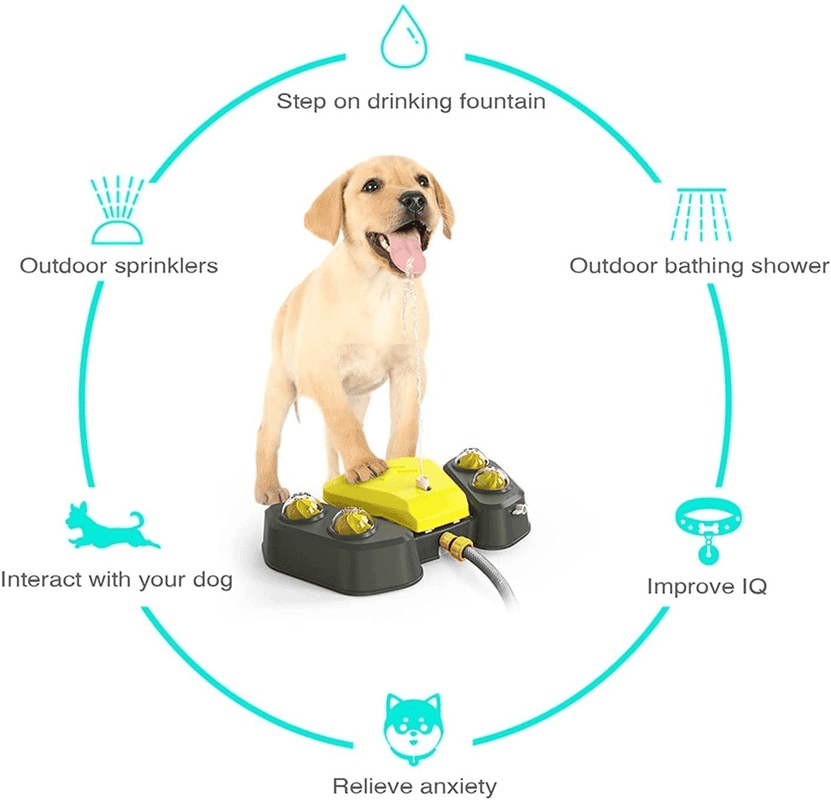 Purrfect Pet Kingdom Pet Water Fountain for Large Dogs Purrfect Pet Kingdom