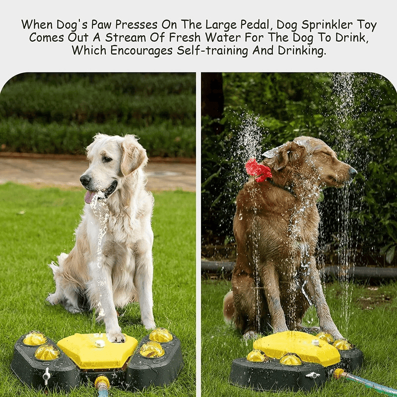 Purrfect Pet Kingdom Pet Water Fountain for Large Dogs Purrfect Pet Kingdom