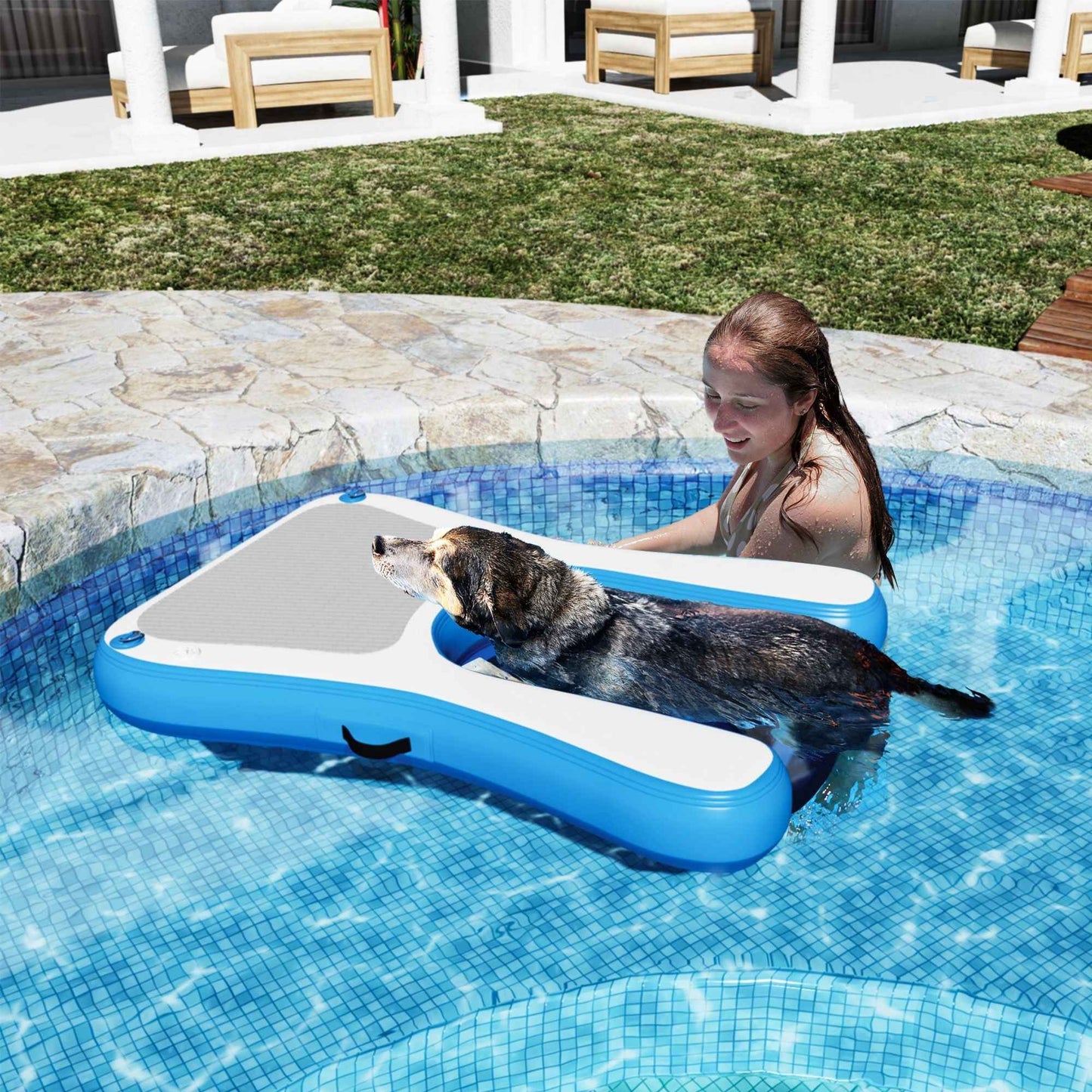 Purrfect Pet Kingdom Pet Water Ramp with High Weight Capacity Purrfect Pet Kingdom