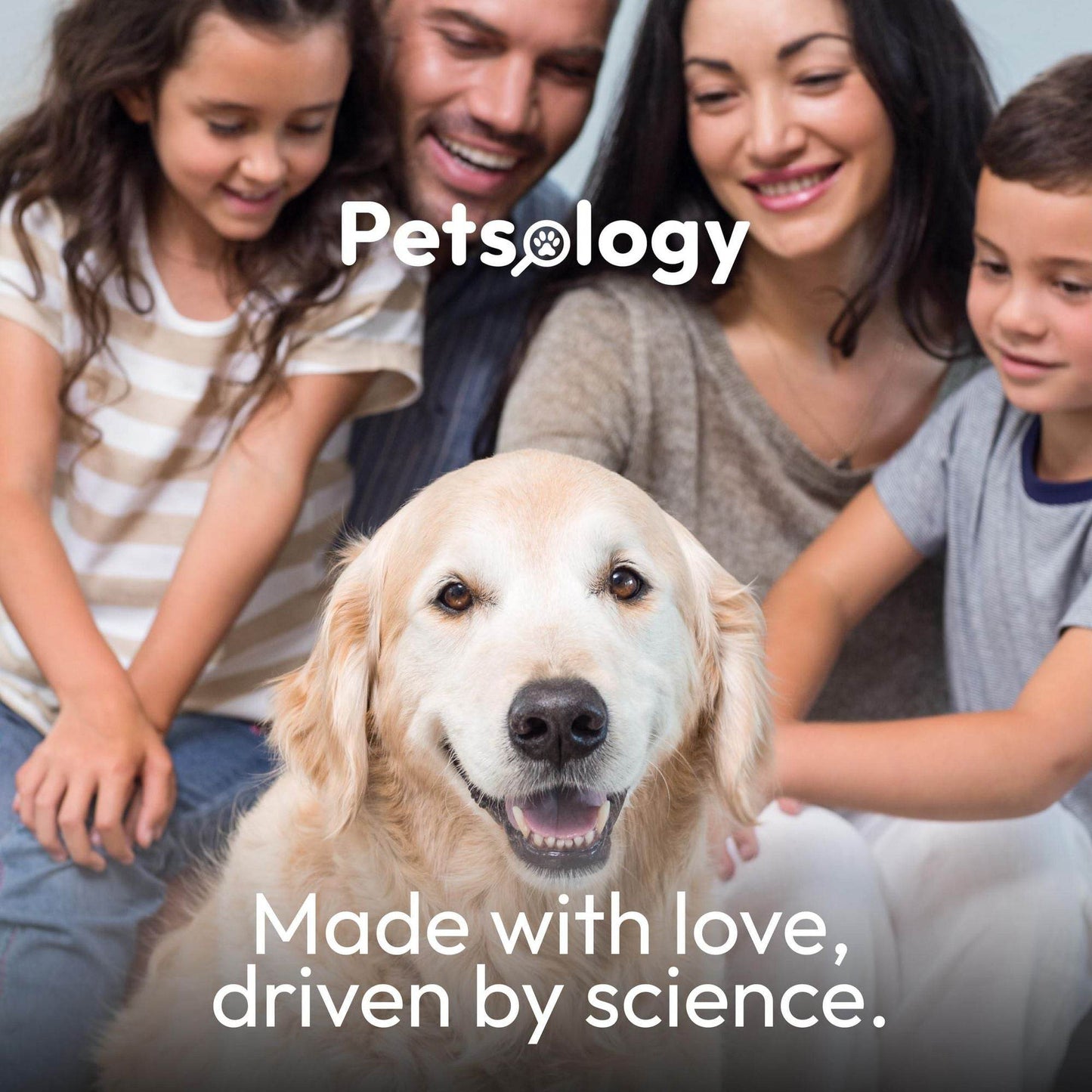 Purrfect Pet Kingdom Dog Allergy Relief Chews - Itch & Immune Support Purrfect Pet Kingdom