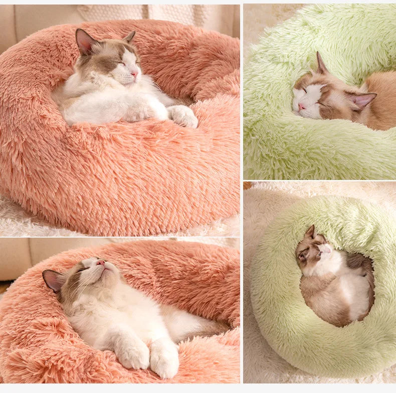 Tail Chasers Round Dog Beds in plush materials perfect as a plush cat bed for cold weather