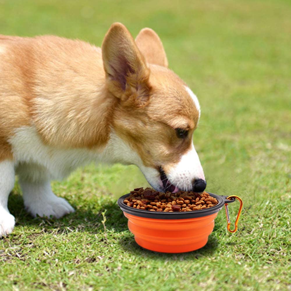 Vibhsa portable small dog bowl in vibrant orange, perfect for on-the-go pet feeding outdoors