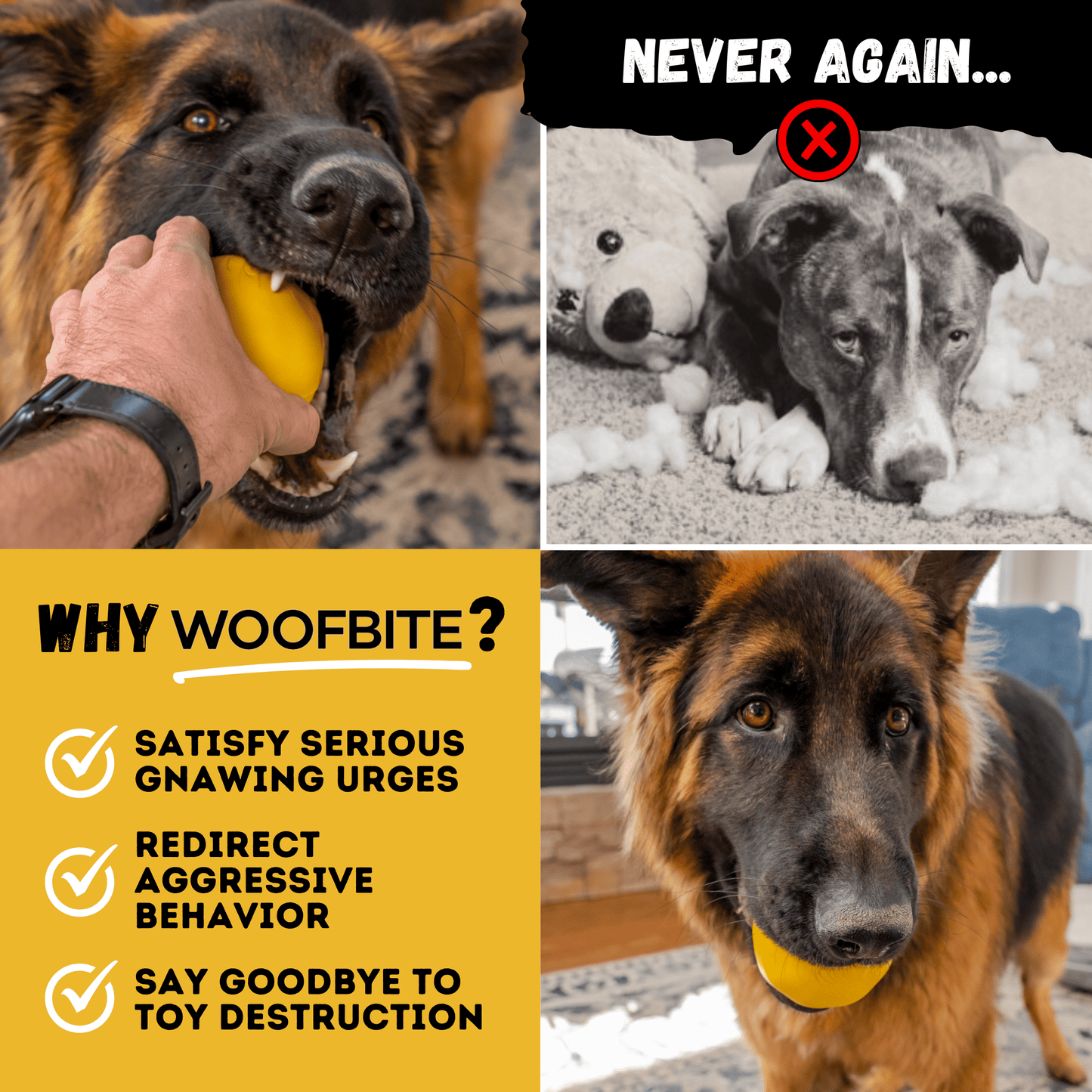 Monster K9 Power Ball Dog Toy ๐