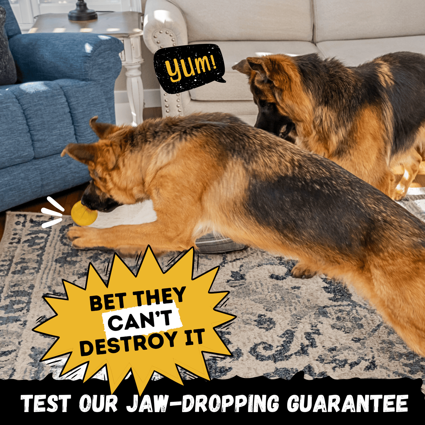 Monster K9 Power Ball Dog Toy ๐