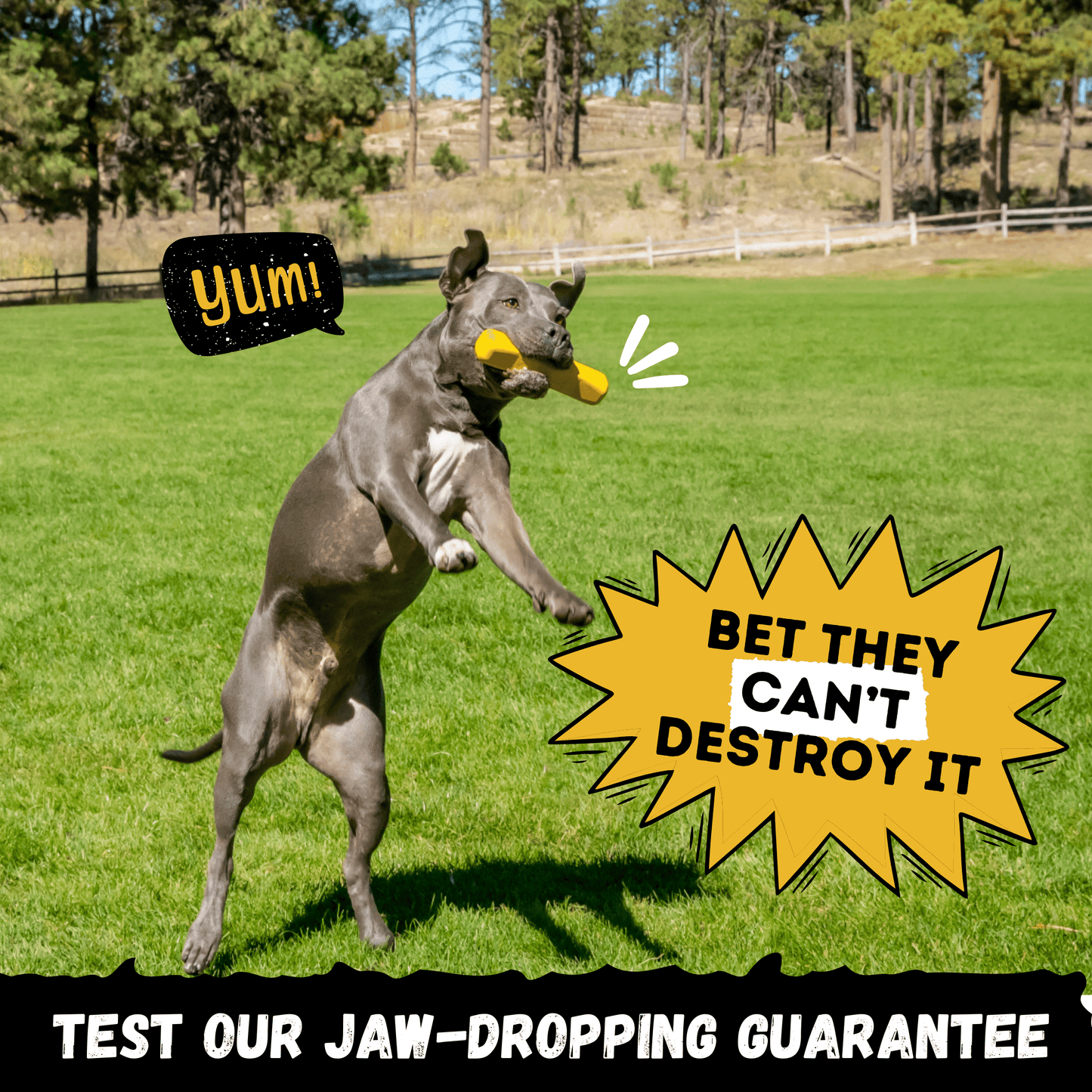 Dog Chew Toy Heavy Duty Power Stick ๐ช