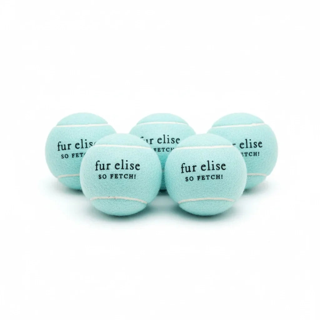 So Fetch! Tennis Ball Pack of 5 - Cloud