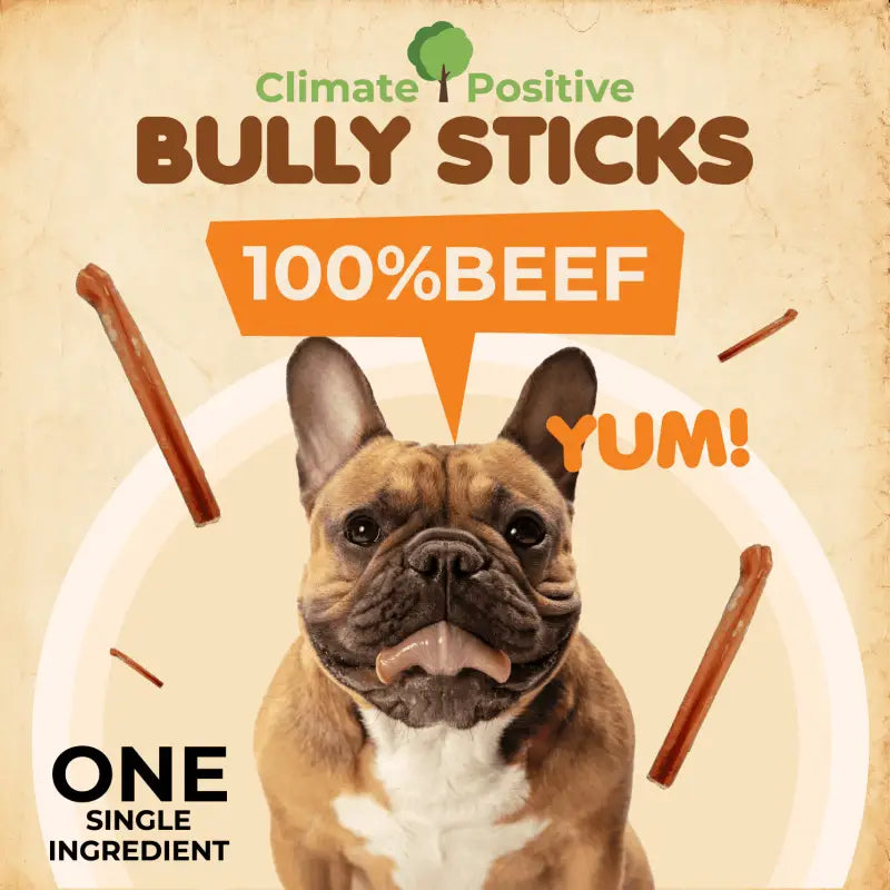 Premium Bully Sticks 6 Inch 12 Pack 100% Natural USA ✅