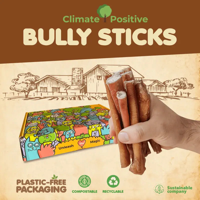 Premium Bully Sticks 6 Inch 12 Pack 100% Natural USA ✅