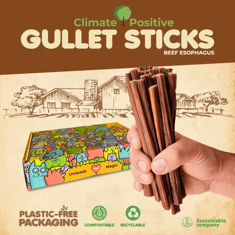 Gullet Sticks Dog Chews 6 Inch 24 Pack USA ✅