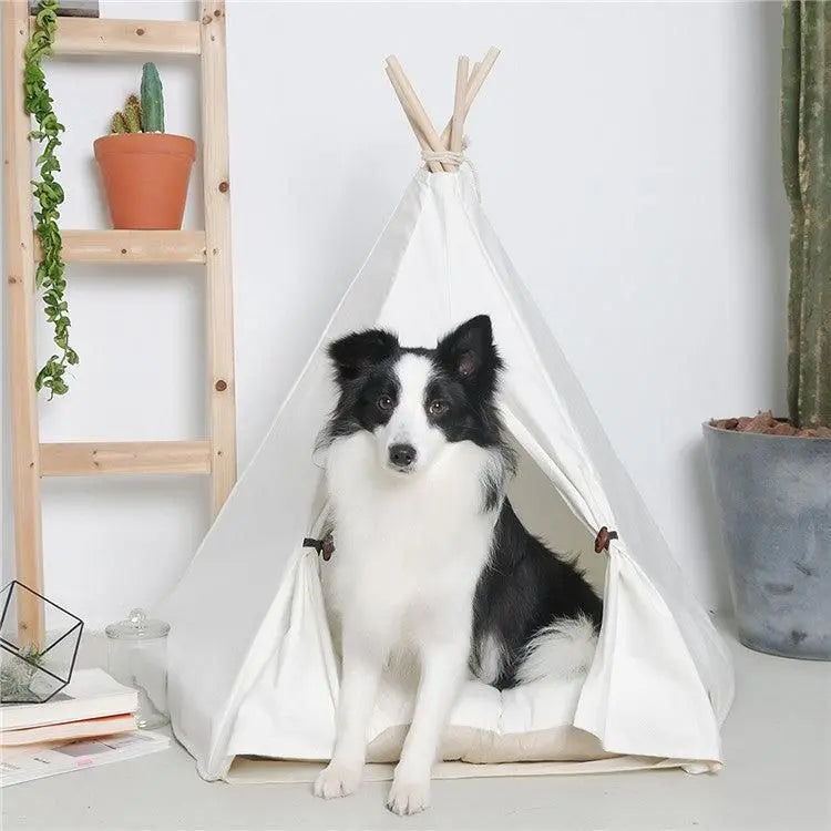 Premium wooden pet hideaway in teepee style with black and white dog sitting inside by Purrfect Pet Kingdom