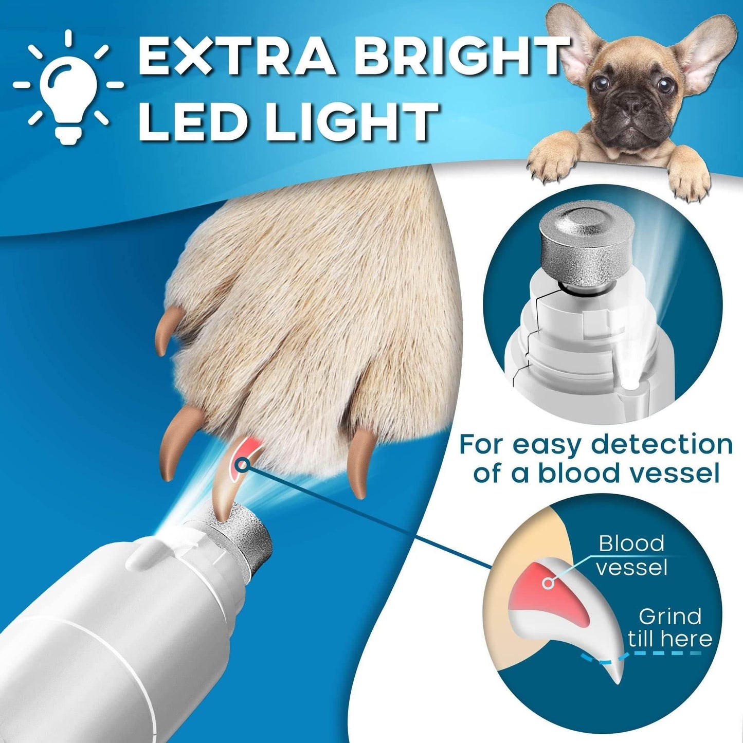 Purrfect Pet Kingdom LED Pet Nail Trimmer for Large Dogs Purrfect Pet Kingdom