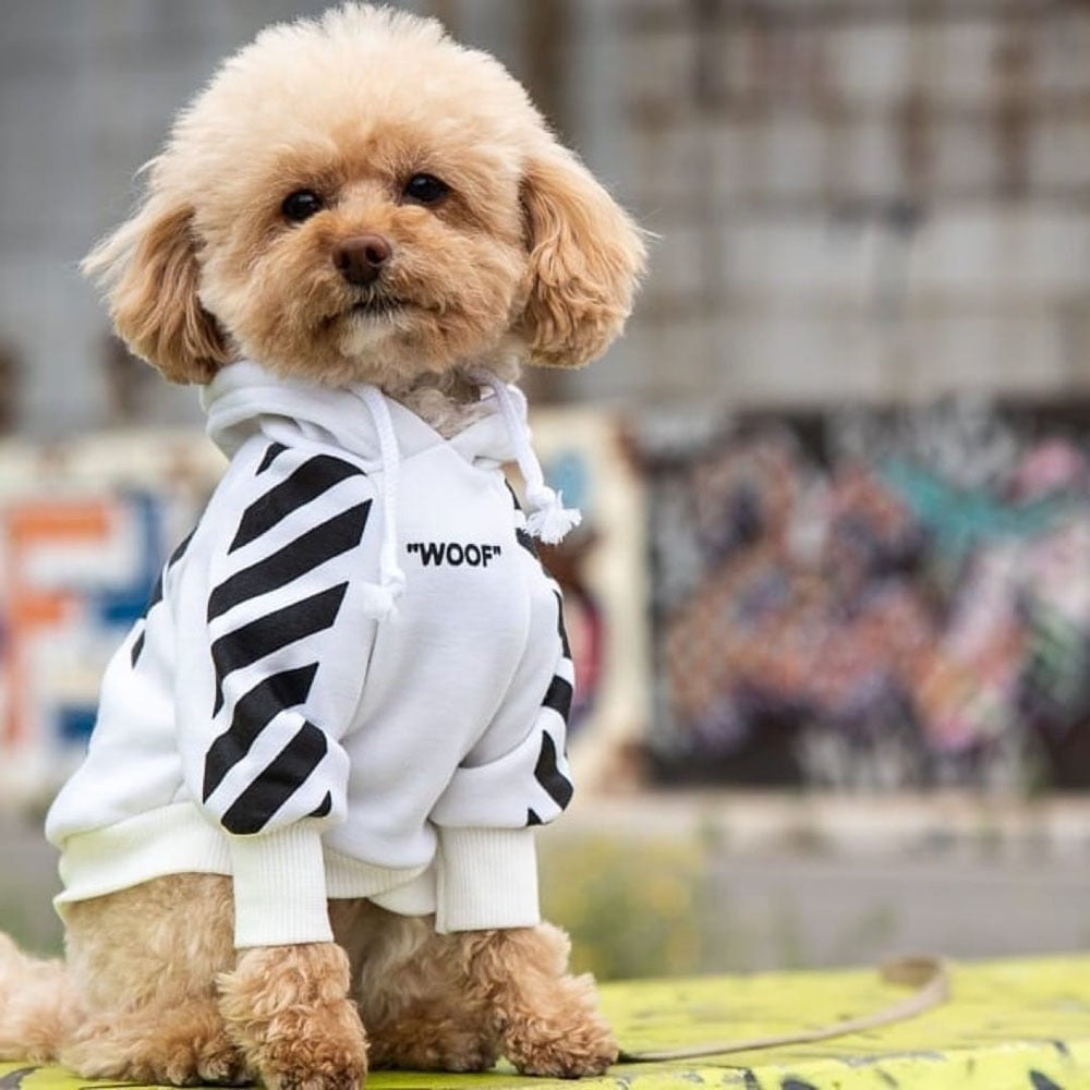 Dog Hoodie Fresh Pawz Woof Stylish Comfortable ๐ถ