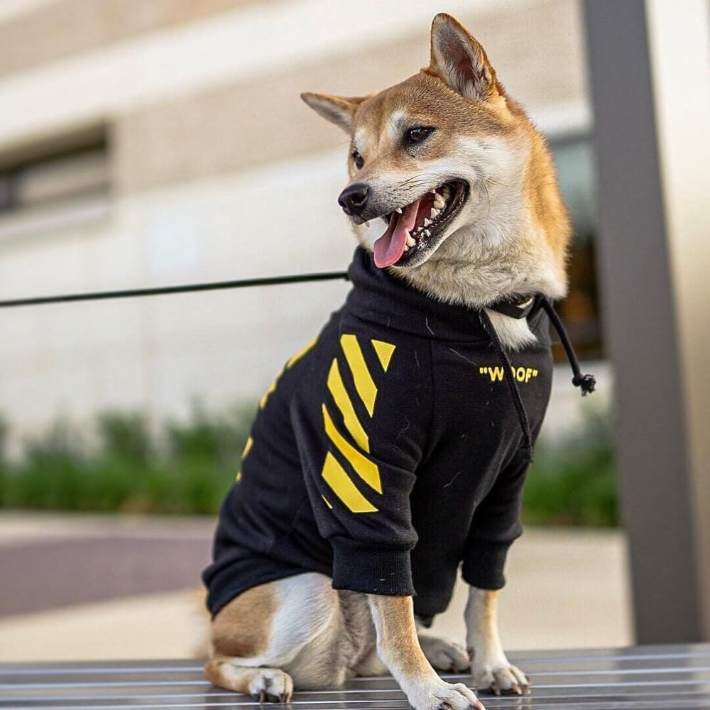 Dog Hoodie Fresh Pawz Woof Stylish Comfortable ๐ถ
