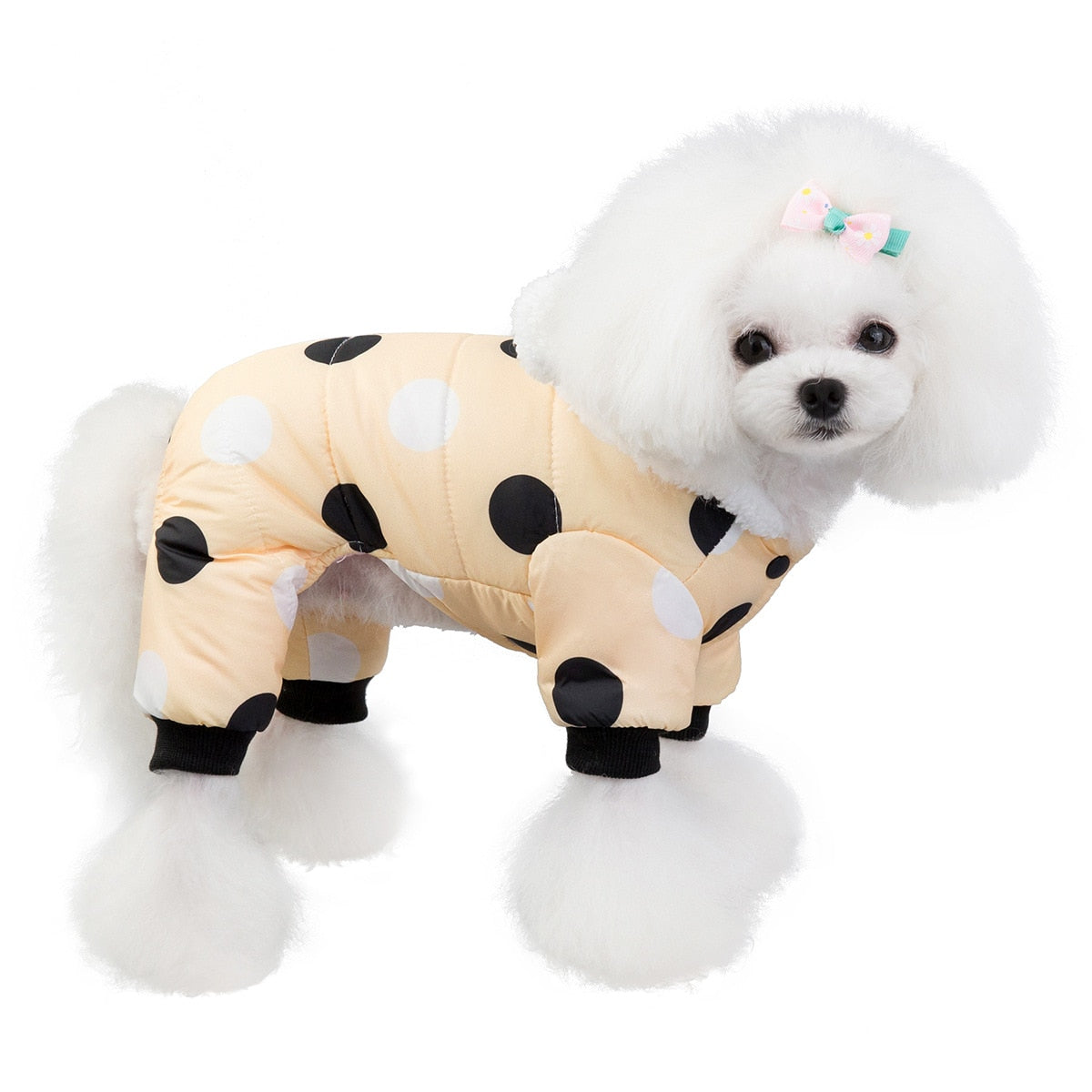 Big Polka Dot Snowsuit Jumpsuit - Purrfect Pet Kingdom