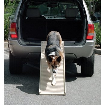 PetStep Folding Dog Ramp - Purrfect Pet Kingdom