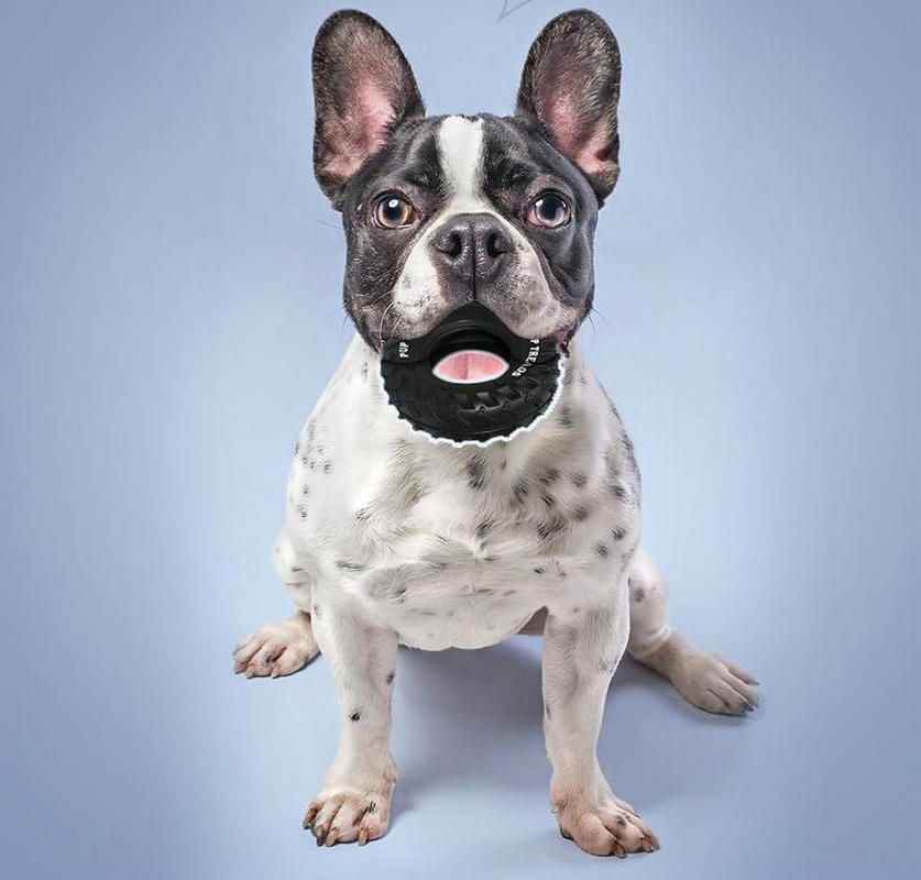 Purrfect Pet Kingdom Tough Chew Toy for Aggressive Chewers - Purrfect Pet Kingdom
