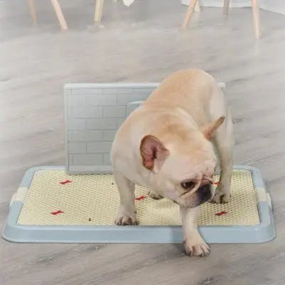 Puppy on Purrfect Pet Kingdom Puppy Training Pad with non-slip surface on wooden floor