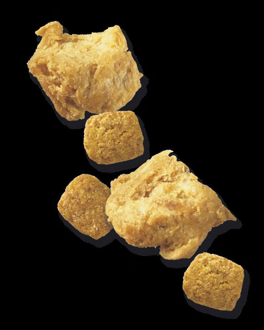 Purina Pro Plan Dog Food kibble pieces designed as the best dog food for older dogs for optimal nutrition