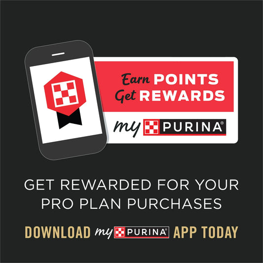 Earn rewards with my Purina app for Pro Plan purchases and high protein wet food for senior cats
