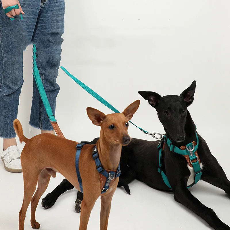 Purrfect Pet Kingdom® - Dog Leash Explosion-proof Puppies Type - Dog Leashes