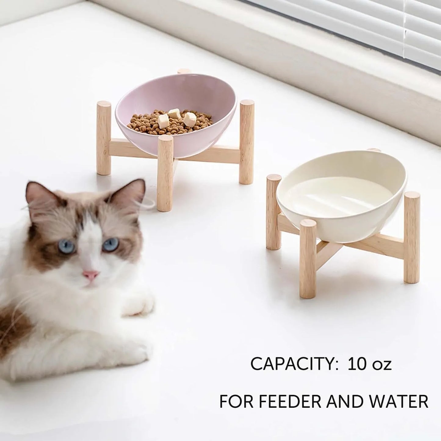 Purrfect Pet Kingdom® - Elevated Raised Bowl For Indoor Cats, Cat Basic Bowls Dish - Bowls