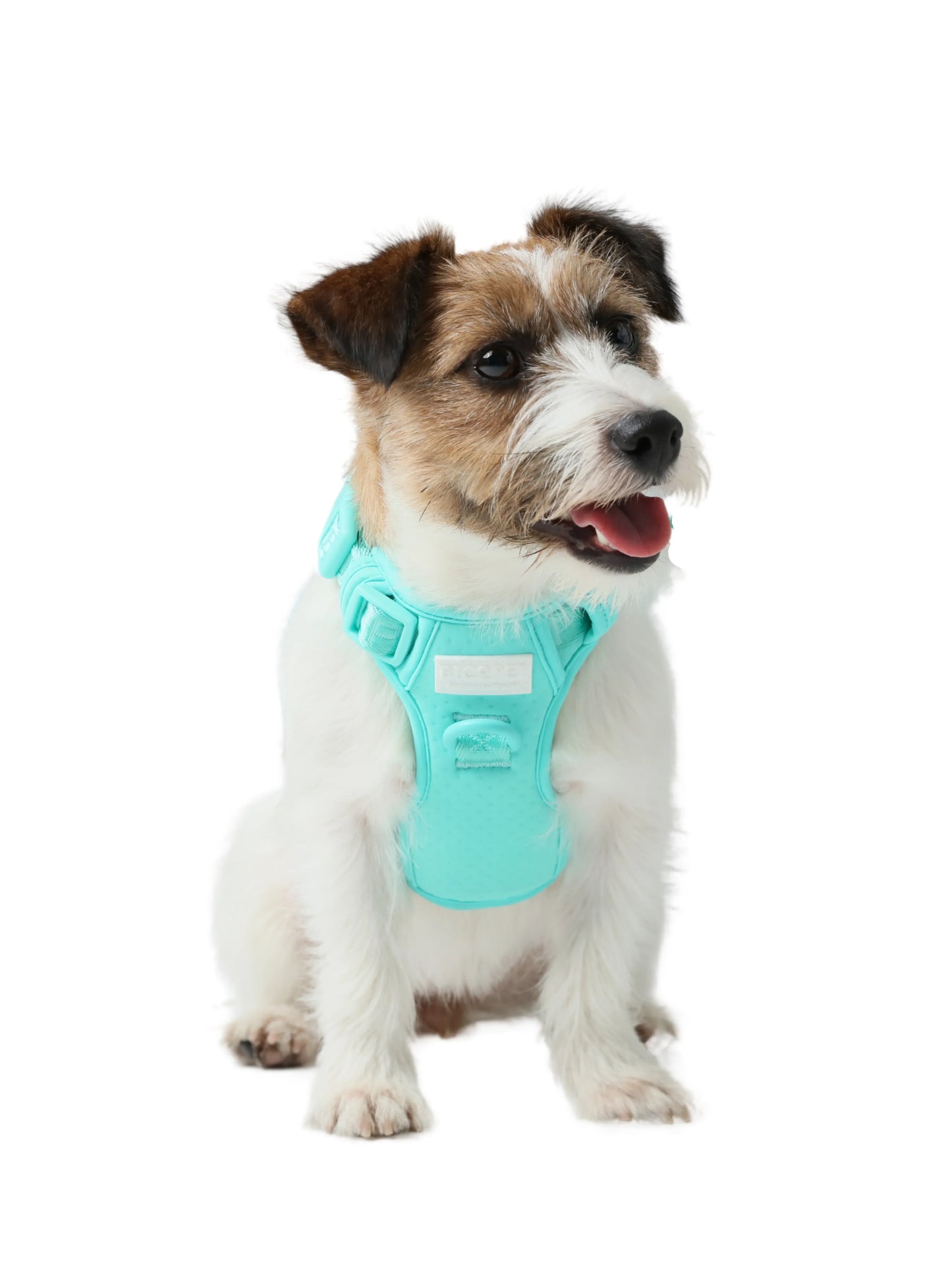 Purrfect Pet Kingdom® - Mint Reflective No-Pull Dog Harness for Safe Daily Comfort - Harnesses