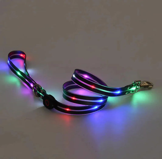 Dog Collar LED Rechargeable - Nylon With Leash