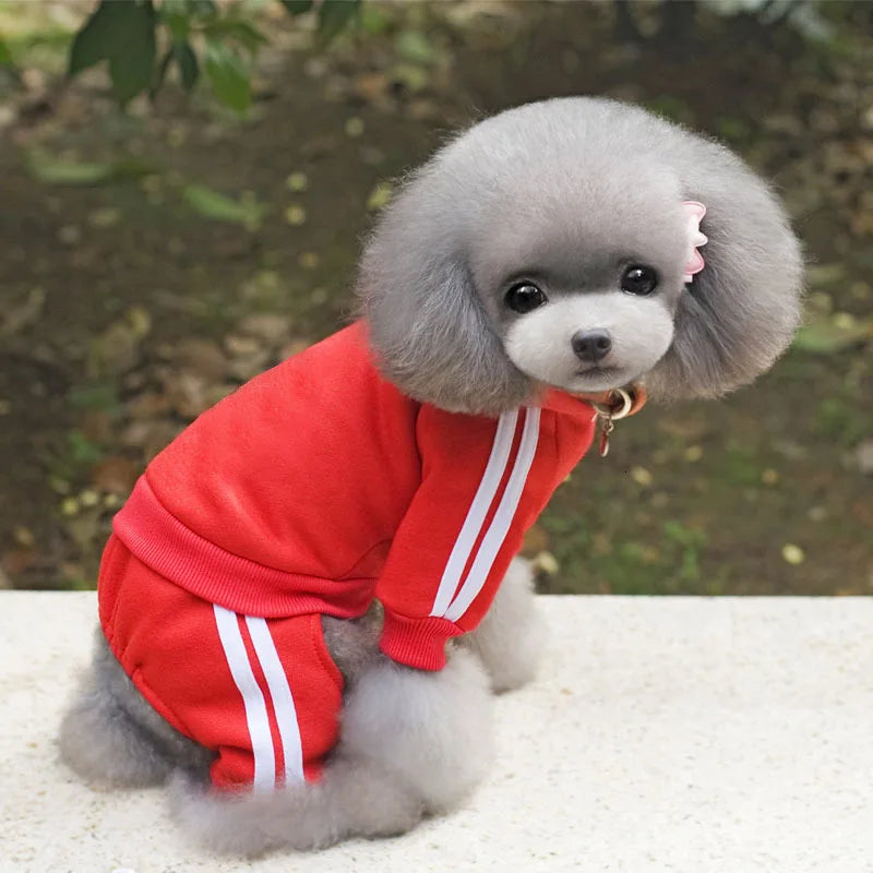 dsers Dog Hooded Jumpsuit for Small Dogs - Stylish Activewear - pet clothing - THRIXINE