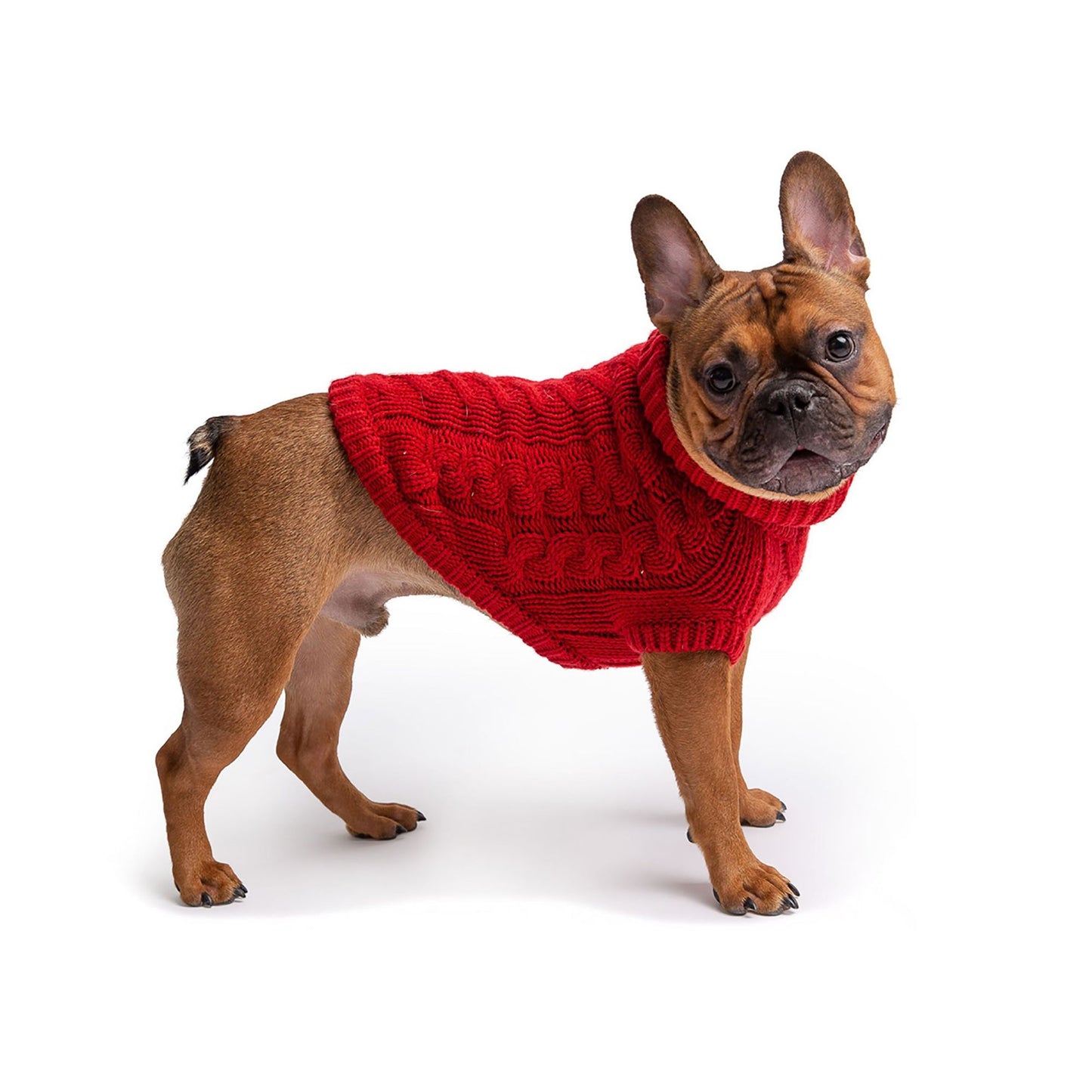 Purrfect Pet Kingdom Red Dog Sweater โ Cozy Knit Coat Purrfect Pet Kingdom