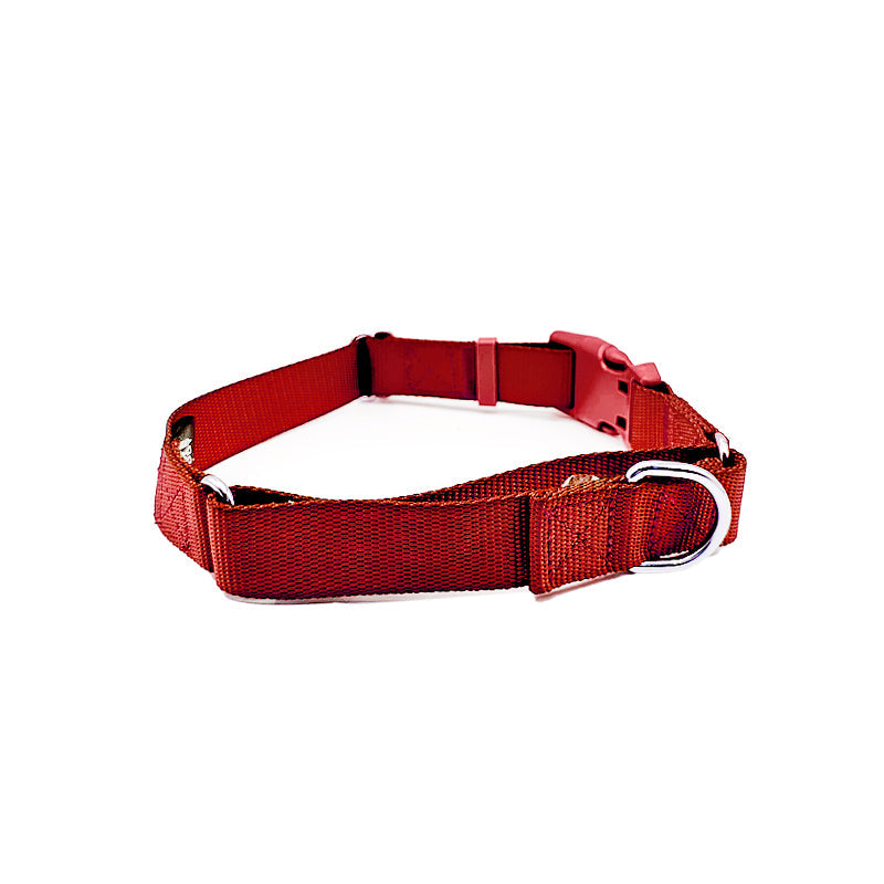 Martingale Dog Collar - Purrfect Pet Kingdom