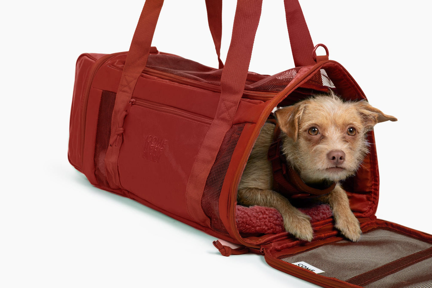 Pet Carriers-Travel Buddy Durable Padded Comfort Pet Backpack