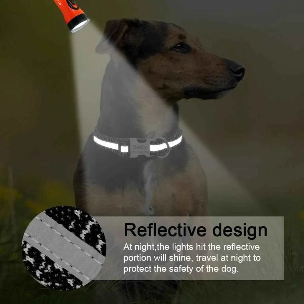 Dog wearing a personalized pet ID collar with reflective design for nighttime safety