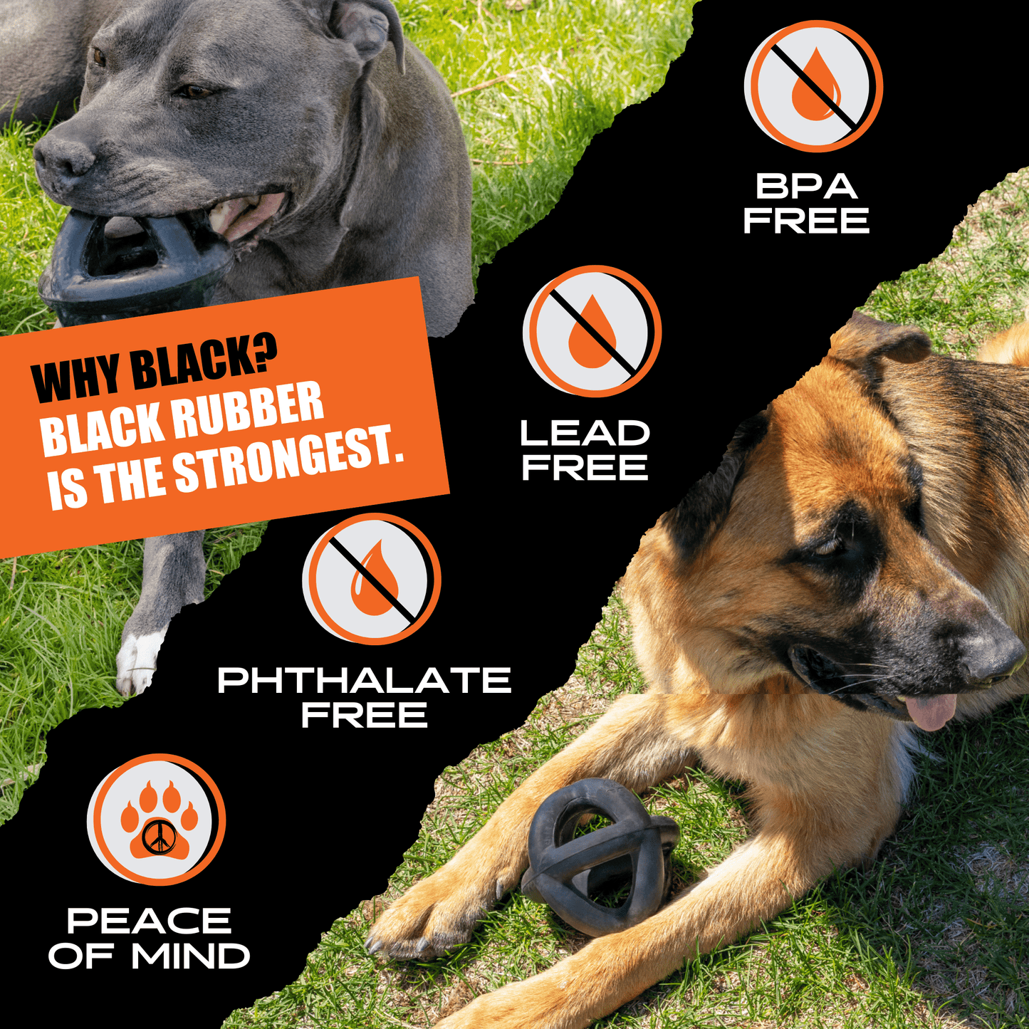 Monster K9 Ring Ball Dog Toy ๐พ