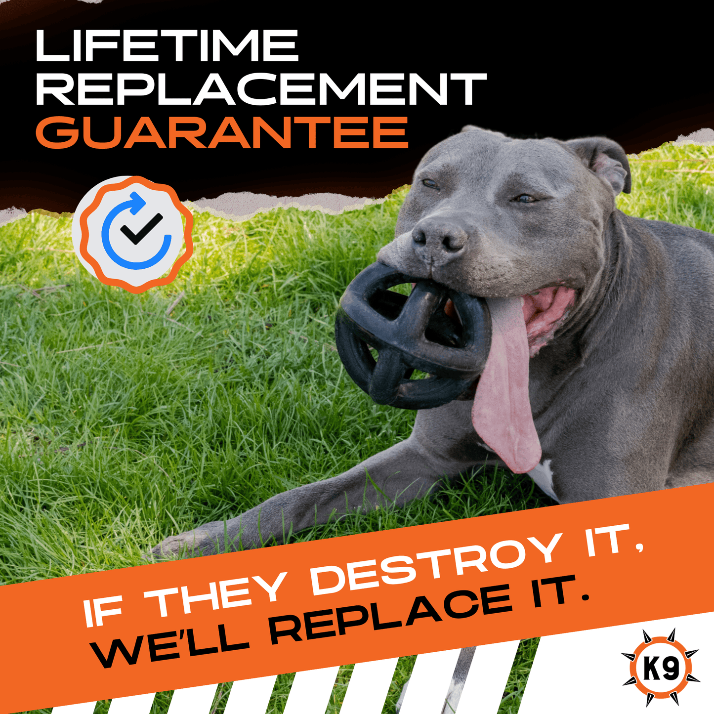 Monster K9 Ring Ball Dog Toy ๐พ