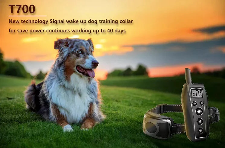 Dog Training Collar 650 YD Remote Shock Waterproof ๐