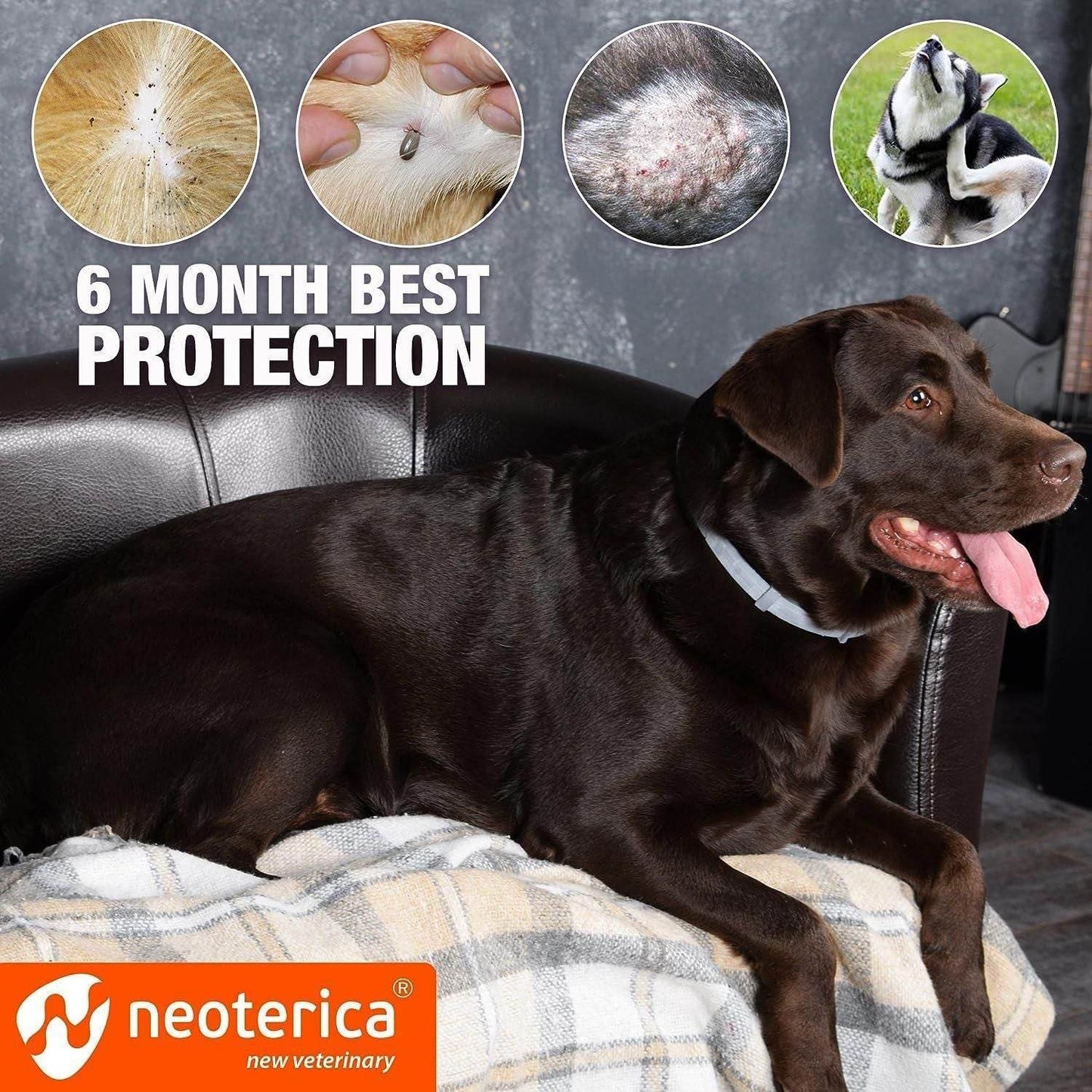 Purrfect Pet Kingdom Natural Flea and Tick Collar for Dogs Purrfect Pet Kingdom