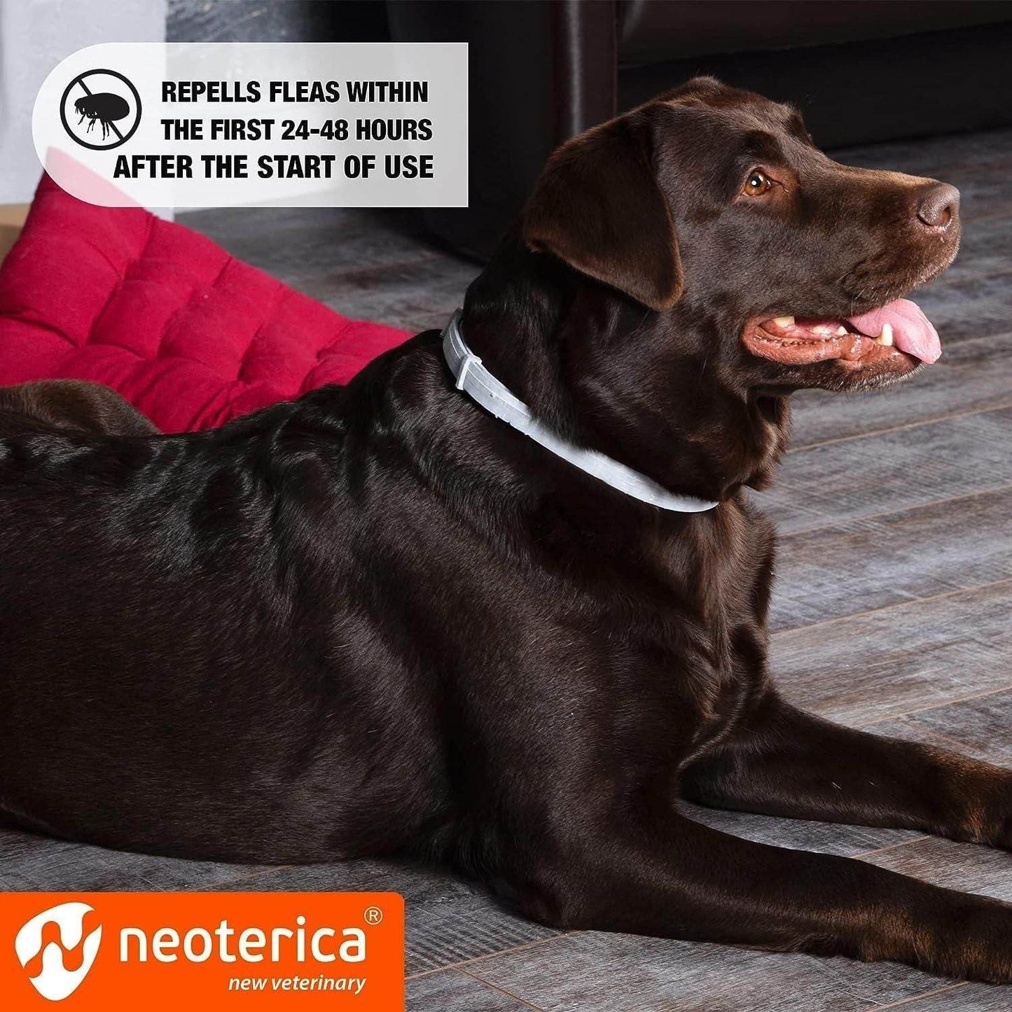Purrfect Pet Kingdom Natural Flea and Tick Collar for Dogs Purrfect Pet Kingdom