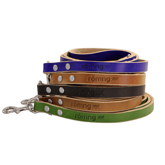 Leather Dog Leash Handmade Premium Quality 🐕