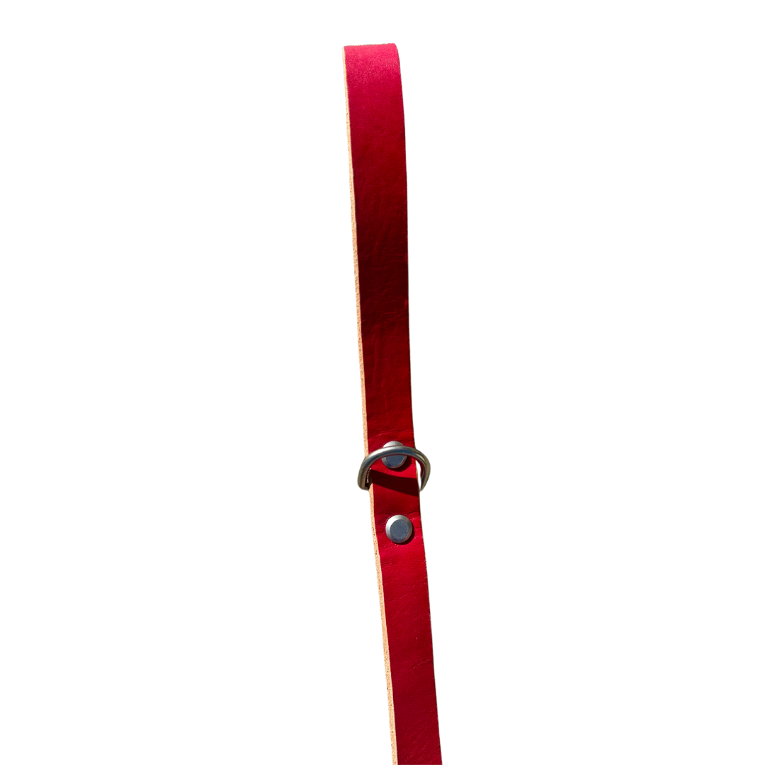 Leather Dog Leash Handmade Premium Quality ๐