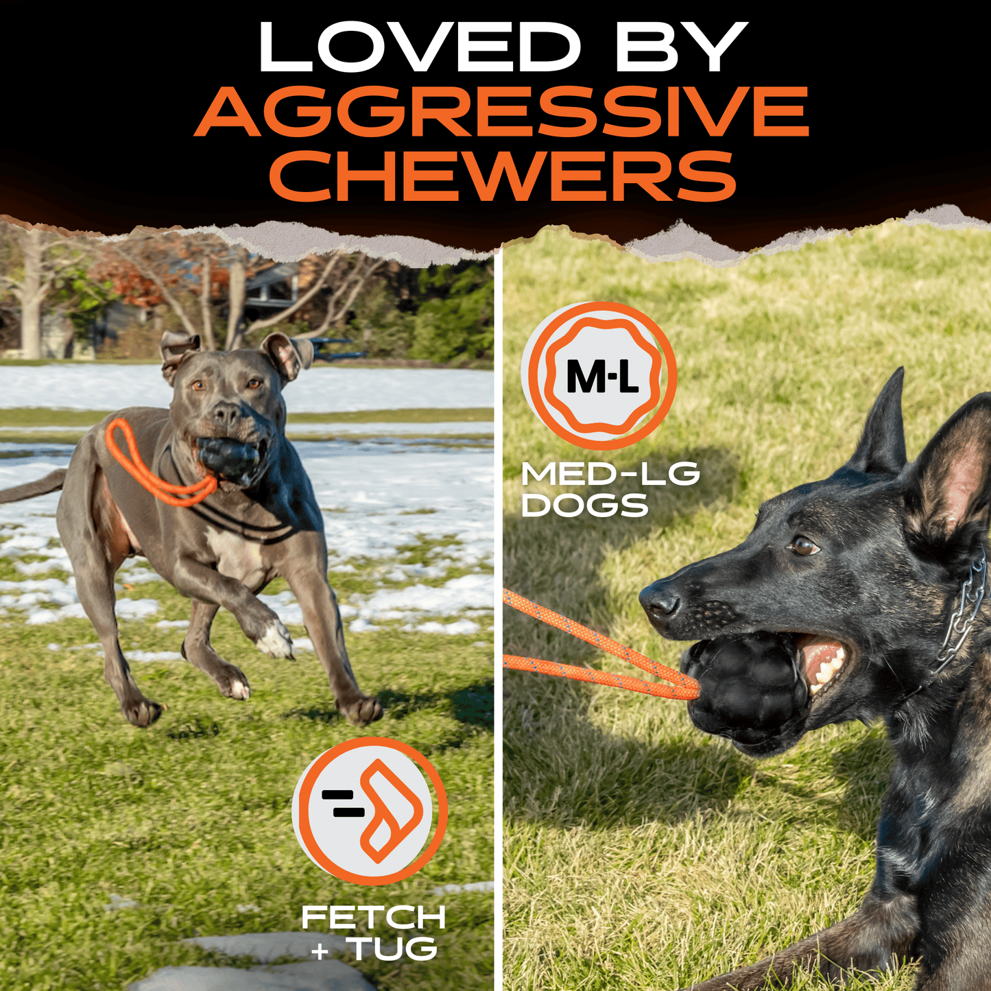 Monster K9 Rumble Rope Ball Dog Toy ๐พ