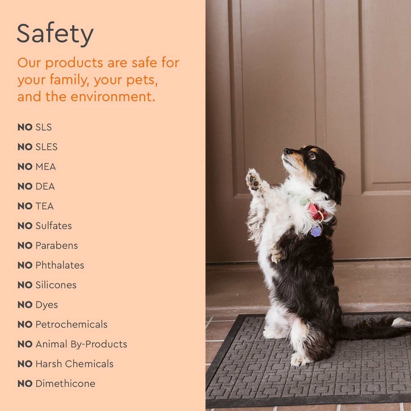 Pet Stain & Odor Remover - Pet - Puracy