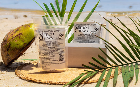 Wild-Caught Salmon Chews – 2oz | Raw Instincts | Omega-Rich